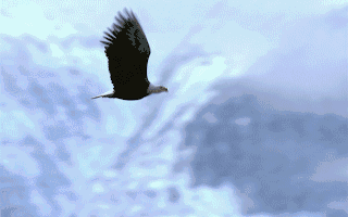 万安科技(002590SZ)：拟以增资形式向同川科技投资2000万元